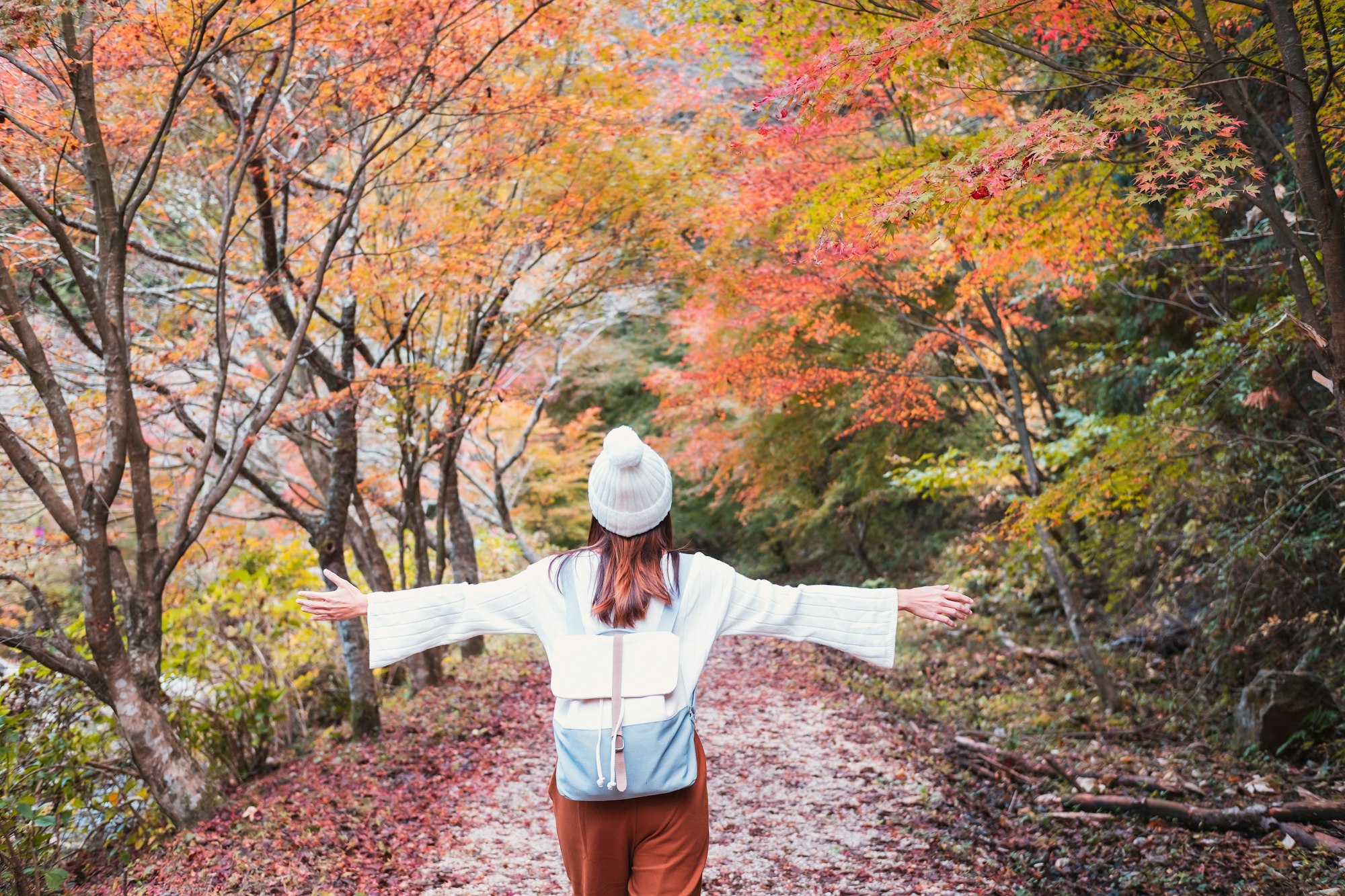 young woman traveler enjoying beautiful autumn in japan travel lifestyle concept.jpg